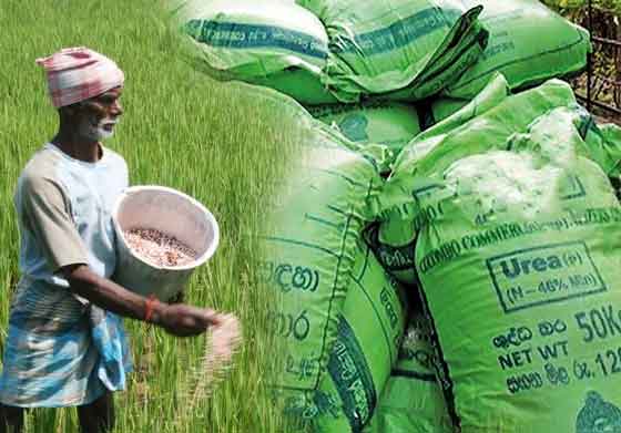 "யூரியா உரத்தை அதிகப்படியாக பயன்படுத்துவது பய்ர்களுக்கு பாதிப்பை ஏற்படுத்தும்"