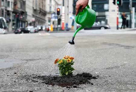 Potholes Become Planters: Vasai Residents Stage Unique Protest Over Dangerous Roads