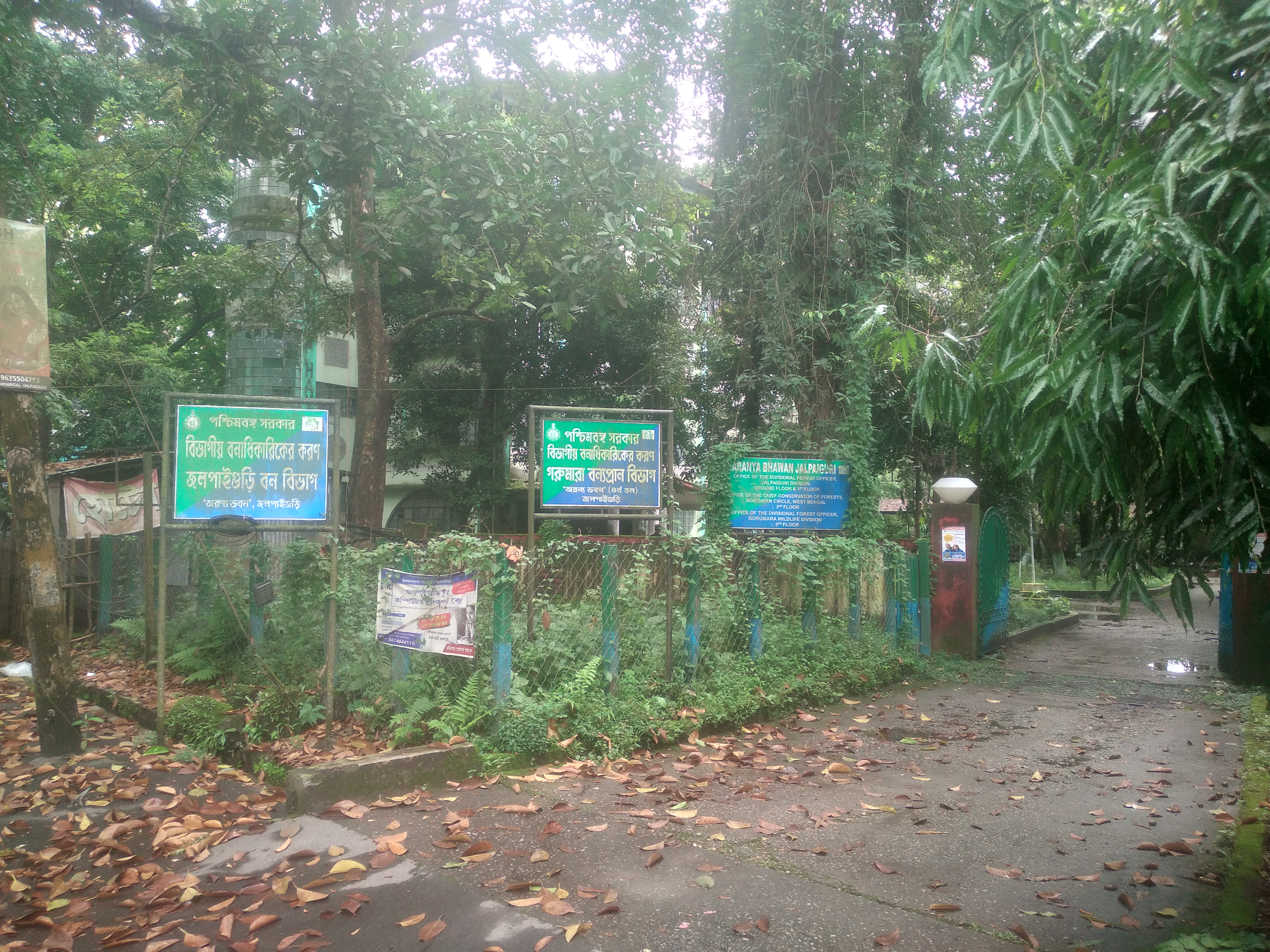 INTENTIONALLY A OBC CAST BUSINESS MEN HARASSMENT WEST BENGAL FOREST CORPORATION