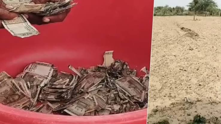 Rajasthan Farmer Loses ₹5 Lakh After Termites Destroy Cash Buried in Field
