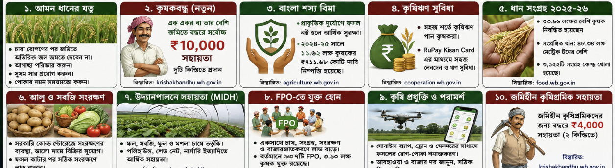 🌾 কৃষি সংবাদ: বর্ষার নিম্নচাপের প্রভাব, আমন ধানে নজর কৃষকদের; কৃষকবন্ধু, ফসল বিমা ও ধান সংগ্রহে বড় ভূমিকা সরকারি সহায়তার