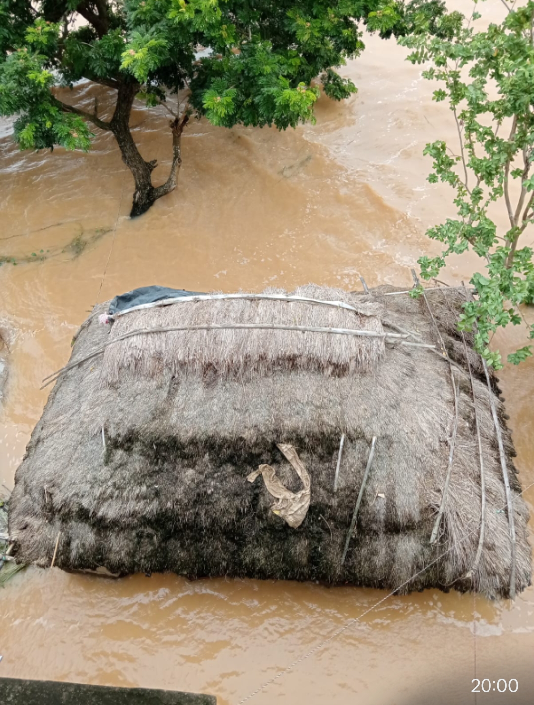 Jajpur Floods: Binjharpur Panchayats Face Acute Shortage of Water, Food and Power