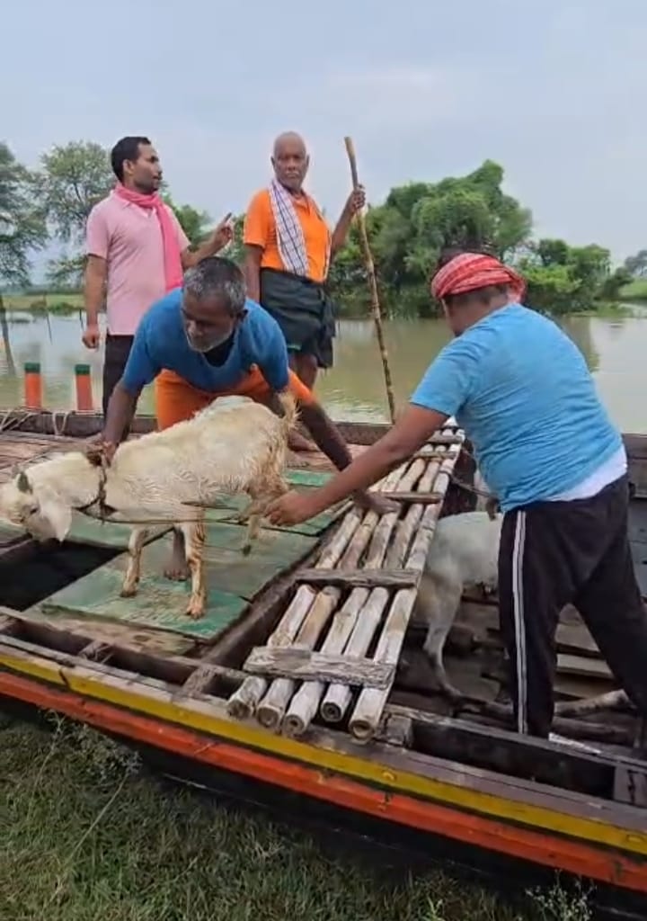 गंगा नदी का जलस्तर बढ़ाने से तराई क्षेत्रों में फंसे लोगों को सुरक्षित नाव से बाहर निकला गया
