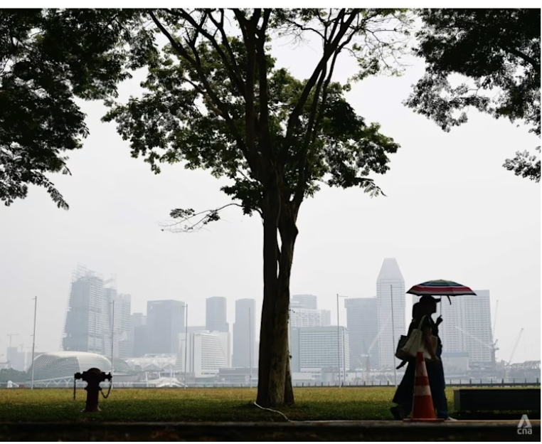 Haze in Singapore: Air quality at unhealthy range in central region