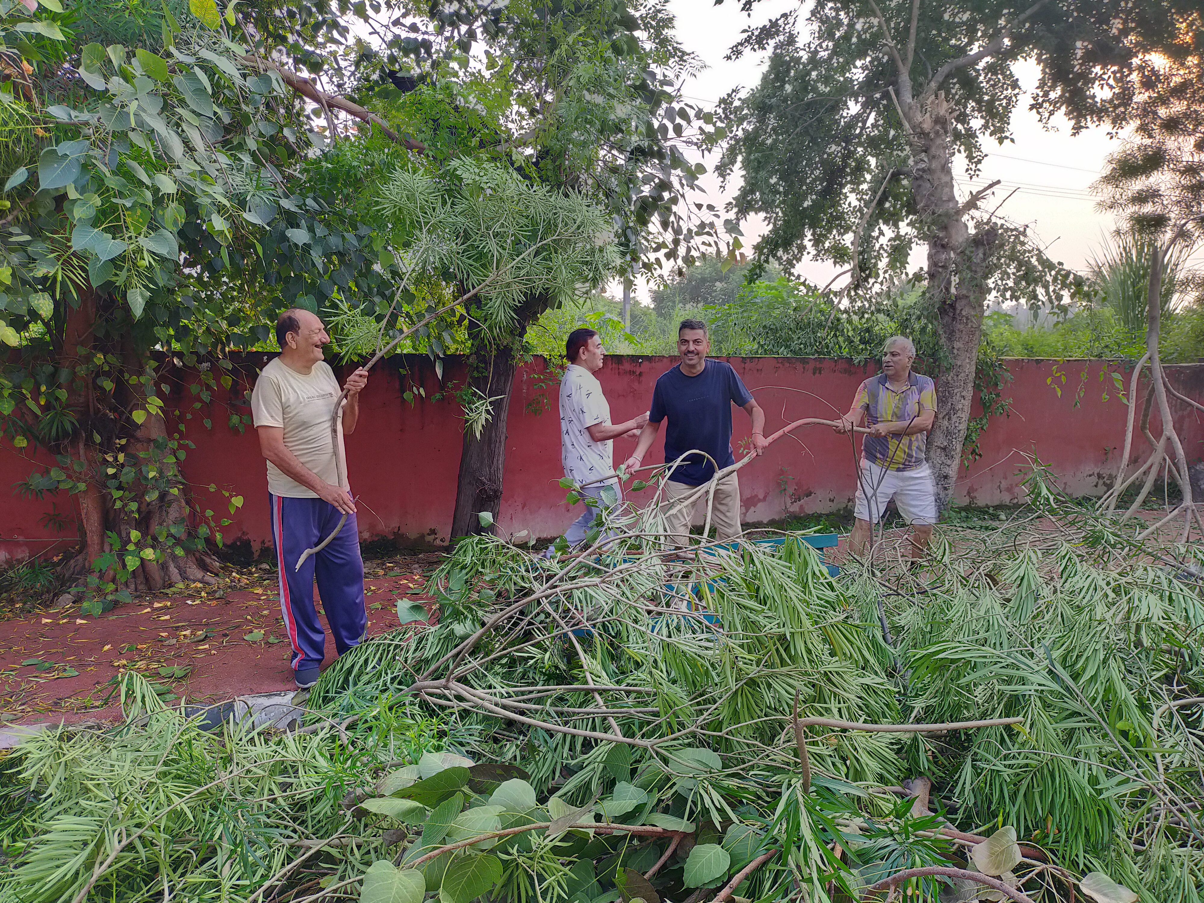 Residents Clear Tree-Cutting Debris in MDC Sector 5 Panchkula Park