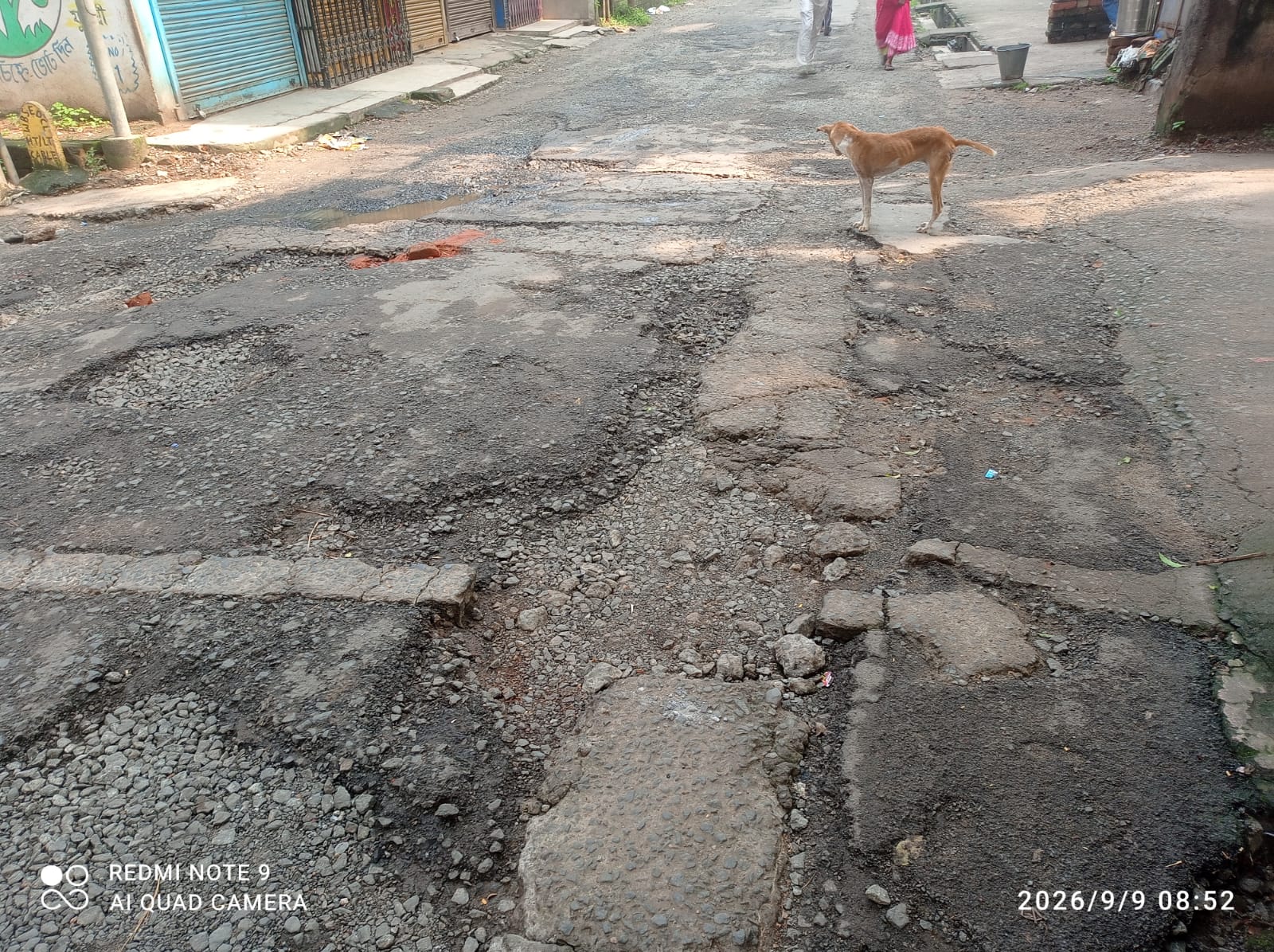 ROAD STATUS
