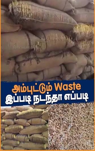 73 கொள்முதல் நிலையங்கள் திறந்தும் பணியாளர்கள் பிடிவாதம்அதிகாரிகள் அலட்சியத்தால்  நெல் முளைத்தும், நிறம் மாறியும் நாசமாகும் அவலம்...