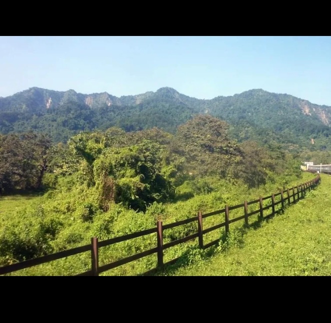 FOREST CORRIDOR IN NORTH BENGAL