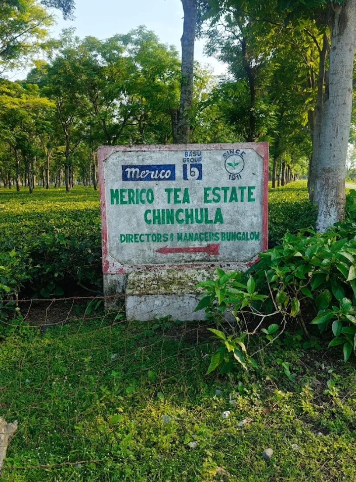 NORTH BENGAL SMALL TEA GRADEN TEA QUALITY DAY BY DAY  LOWEST QUALITY  IN INTERNATIONAL MARKET.