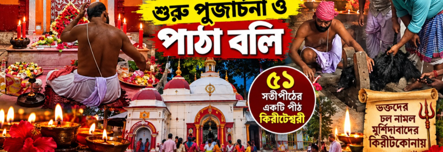 মহালয়ার অমাবস্যায় কিরীটেশ্বরী মন্দিরে বিশেষ পুজো, শুরু পূজার্চনা ও পাঠাবলি—৫১ সতীপীঠের অন্যতম পীঠে ভক্তদের সমাগম