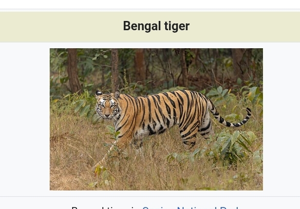 THE BENGAL TIGAR