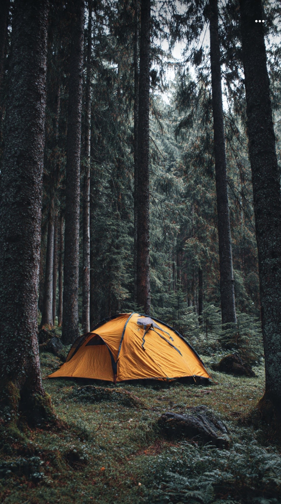 tent camping in Ooty has been banned