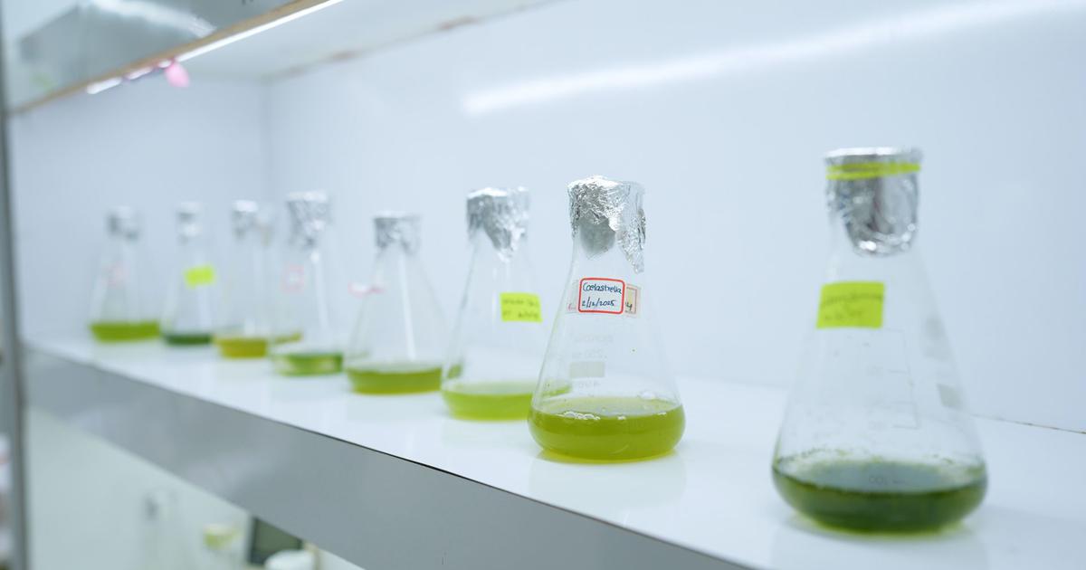 Innovative Solutions: How Climate Science is Shaping India's Environmental Future