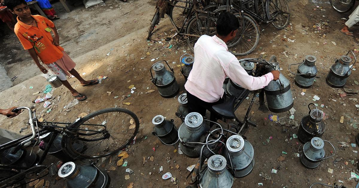 Tragic Rise in Deaths Linked to Adulterated Milk in Andhra Pradesh