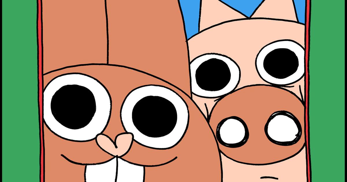 The Unlikely Friendship: How Daddy and Shampoo's Bond Transformed Their Lives