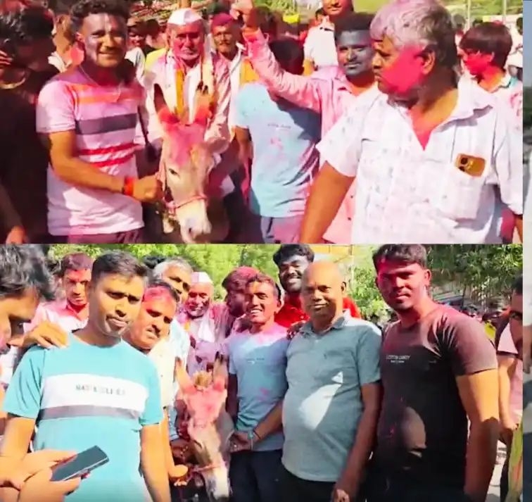 दामाद को गधे पर बैठा पहनाते हैं जूतों की माला, फिर कराते परेड, इस गांव में होली की अनोखी परंपरा