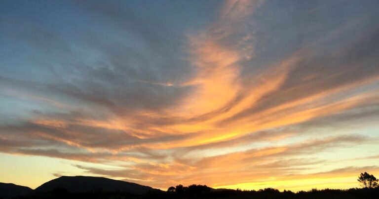 A Historic Judgement on the Right to Die with Dignity: Harish Rana's Case and Its Impact