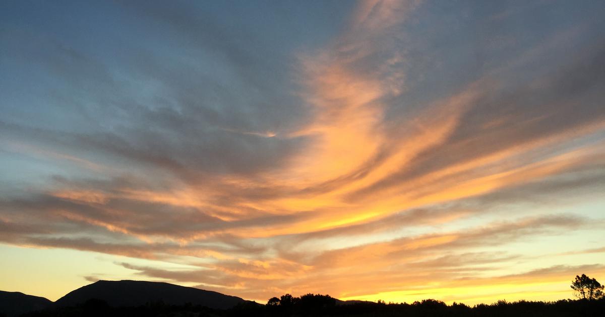 A Historic Judgement on the Right to Die with Dignity: Harish Rana’s Case and Its Impact