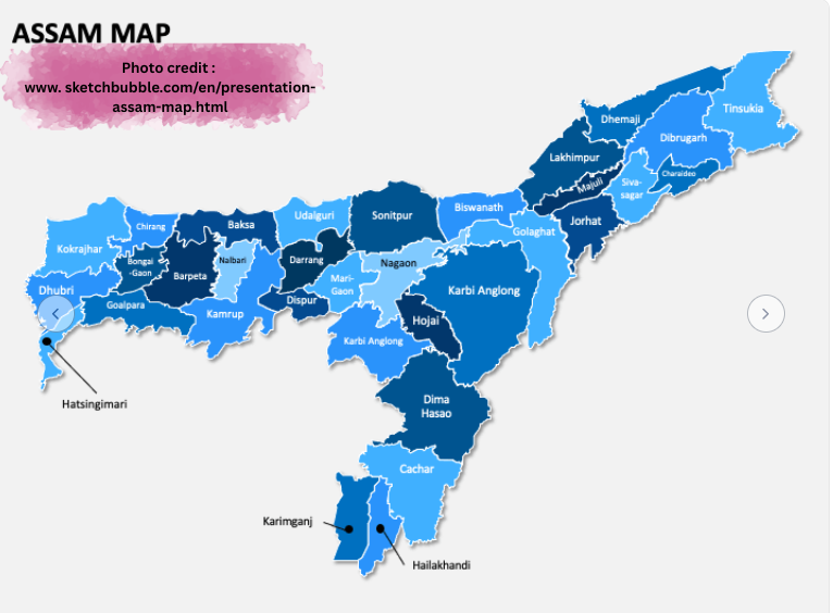 Breaking the Numbers Myth: A Political Wake-Up Call for Manipuris in Assam