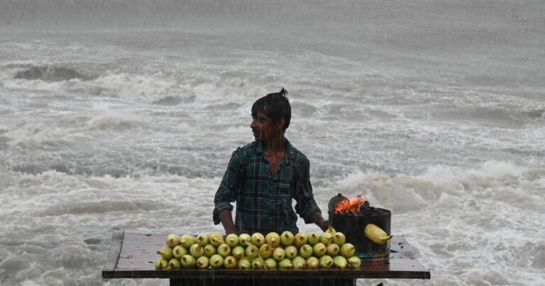 Bombay High Court Orders Strict Verification of Street Vendors Amid Concerns Over Undocumented Migrants