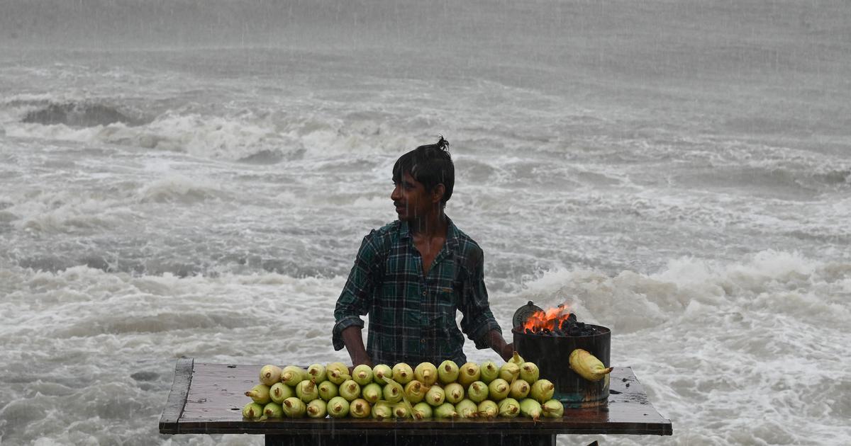 Bombay High Court Orders Strict Verification of Street Vendors Amid Concerns Over Undocumented Migrants
