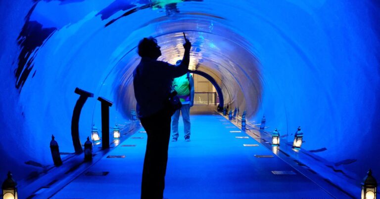 Embracing Home: An Indian Woman's Journey in Dubai