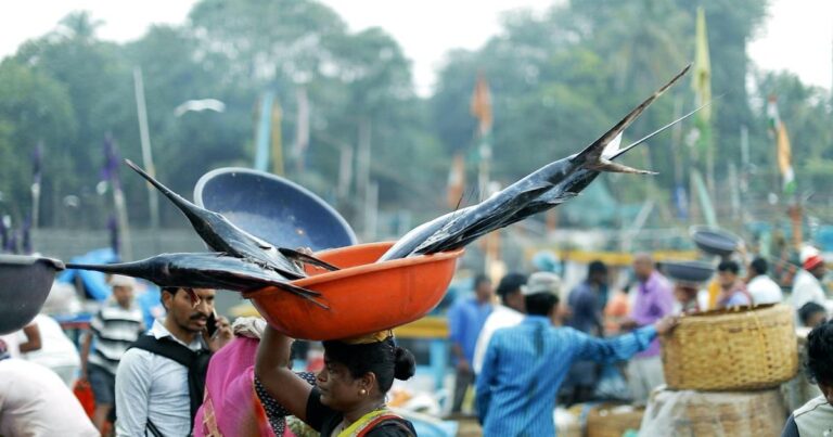 Harnessing Technology: Mumbai's Fishermen Tackle Climate Challenges with Data Innovations