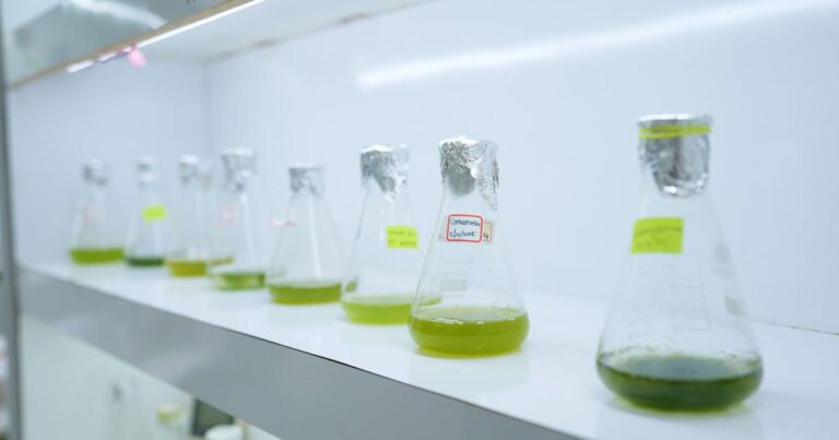 Innovative Solutions: How Climate Science is Shaping India's Environmental Future