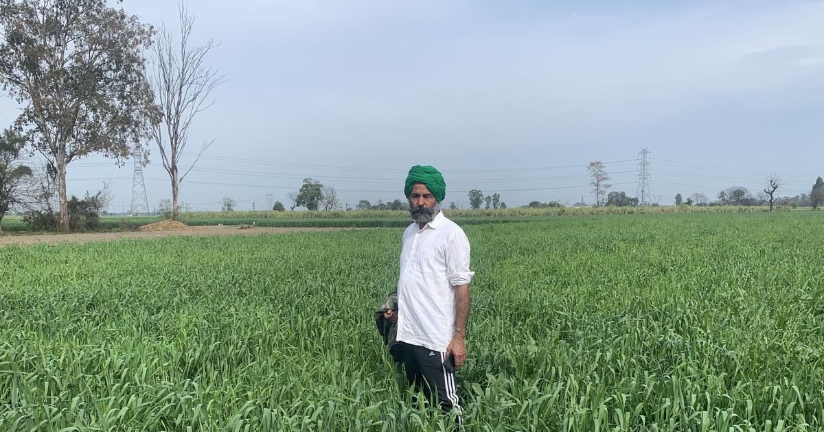 Punjab Farmers Brace for Water Crisis as Groundwater Levels Plummet