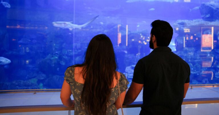 Reality Check: Indian Expats in UAE Laugh Off Media Panic Amid Ongoing Tensions