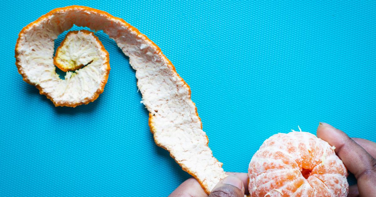 Transforming Food Waste: How Sewage Treatment Plants Can Revolutionize Waste Management in India