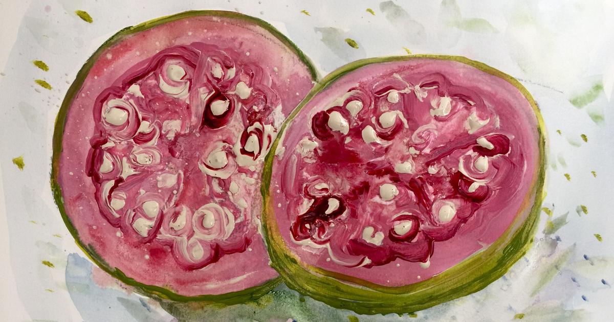 अमरुद की कहानी: एक पोस्ट-पश्चिमी दुनिया के लिए पुनः खोजी गई कहानियाँ