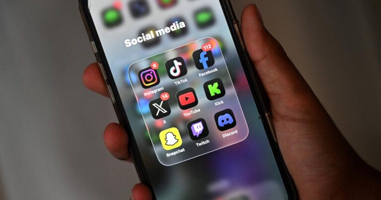 कर्नाटक का सोशल मीडिया प्रतिबंध: क्या यह बच्चों को ऑनलाइन खतरों से बचा पाएगा?