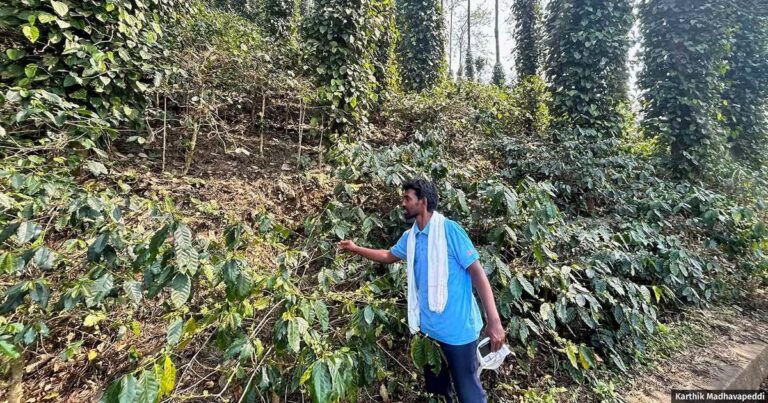 Araku Coffee Farmers Pioneering Solutions to Combat Climate Change