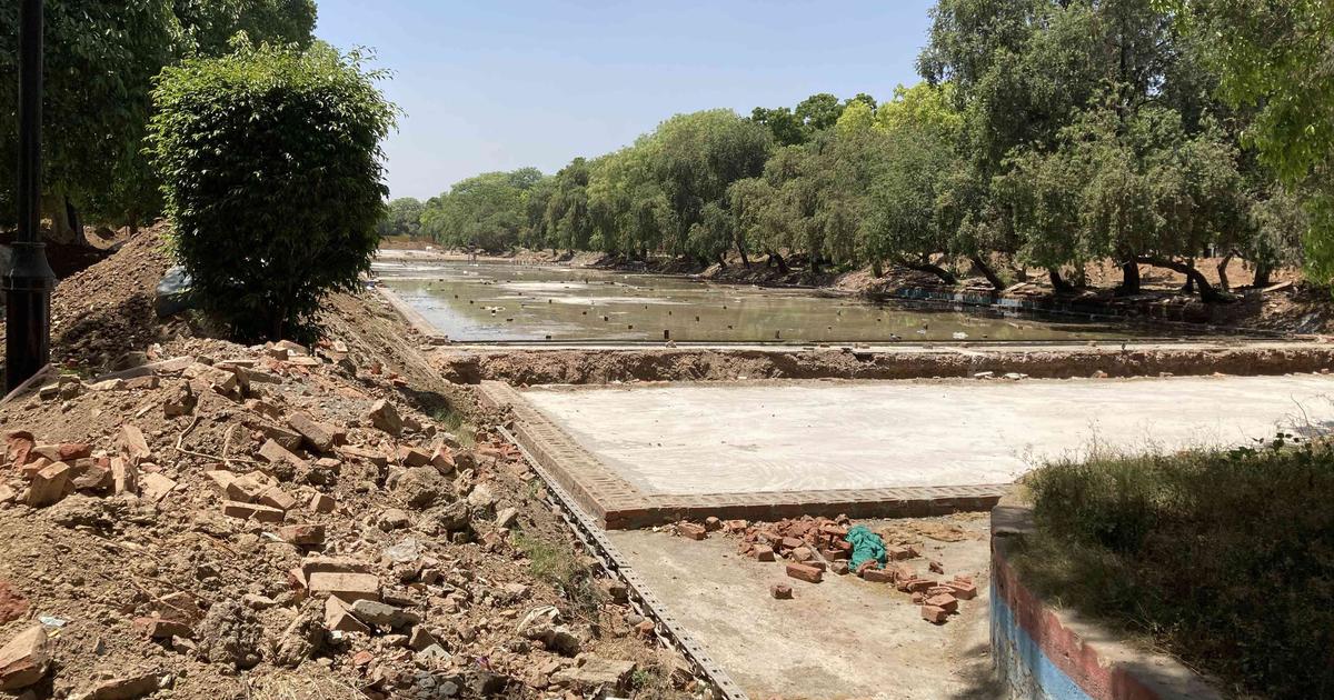 Central Vista Project Faces Setback as 43% of Transplanted Trees Fail to Survive