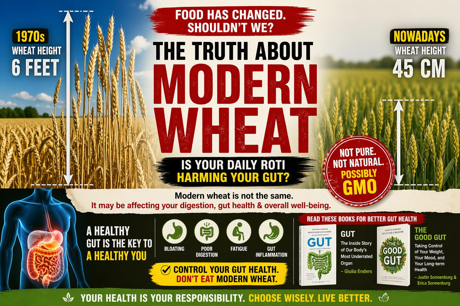 “Is Your Daily Roti Destroying Your Gut? The Hidden Reality of Modern Wheat”