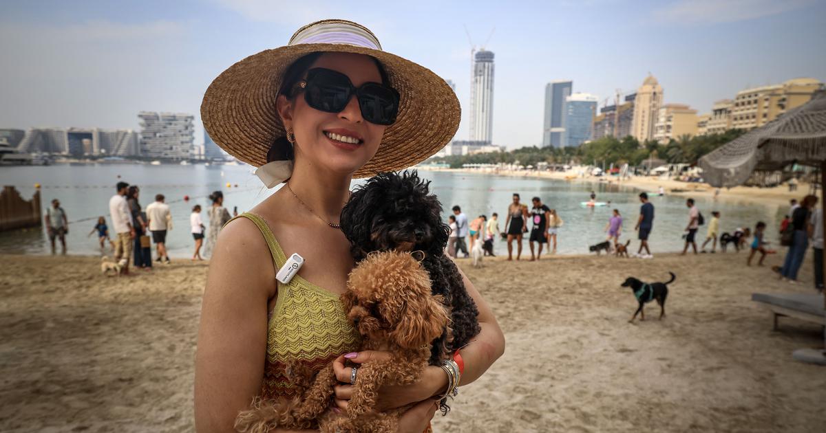 Dubai Breathes a Sigh of Relief Amid Ceasefire: A Balanced Approach to Normalcy