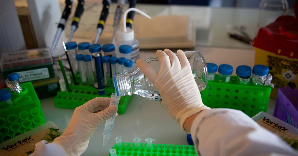 Experts Urge Prioritization of Patient Rights Amid India's Expanding Clinical Trials