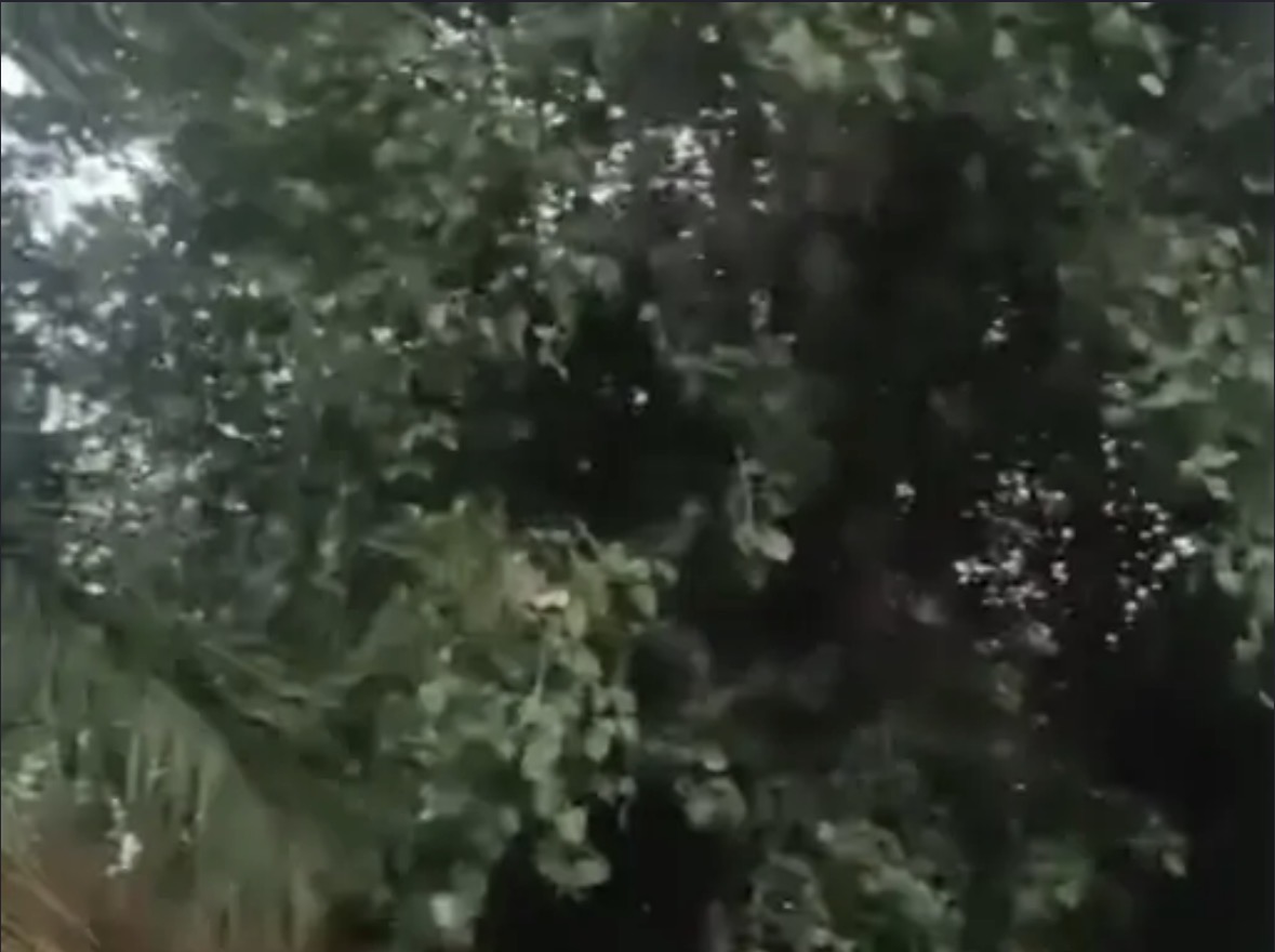 अंबेडकर नगर में अचानक बदला मौसम: तेज हवाओं के साथ बारिश,तीन घंटे में मौसम ख़राब होने का अनुमान