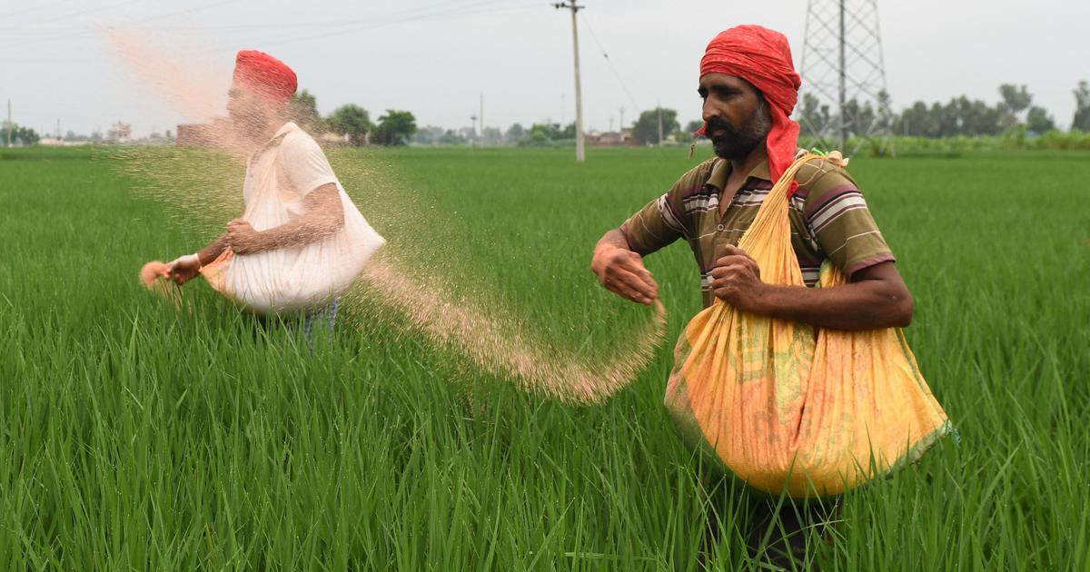 India Faces Fertilizer Supply Crisis Amid Escalating Conflict in West Asia