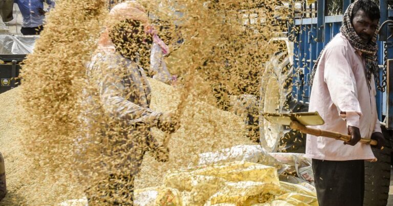 India Faces a Diabetes Crisis: Unraveling the Policy Failures Behind the Epidemic