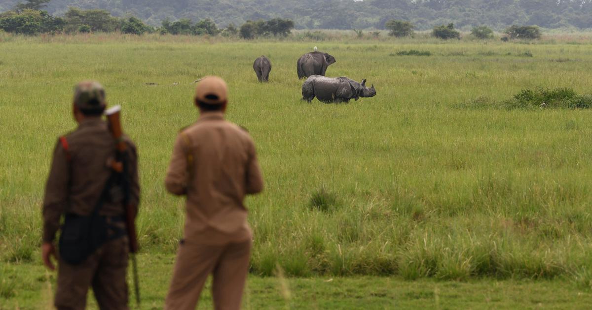 National Green Tribunal Halts Assam’s Forest Officers’ Deployment for Election Duties