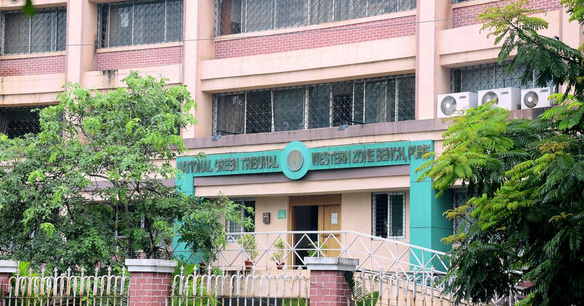 National Green Tribunal Puts a Halt to Tree Cutting in Nashik Ahead of Kumbh Mela