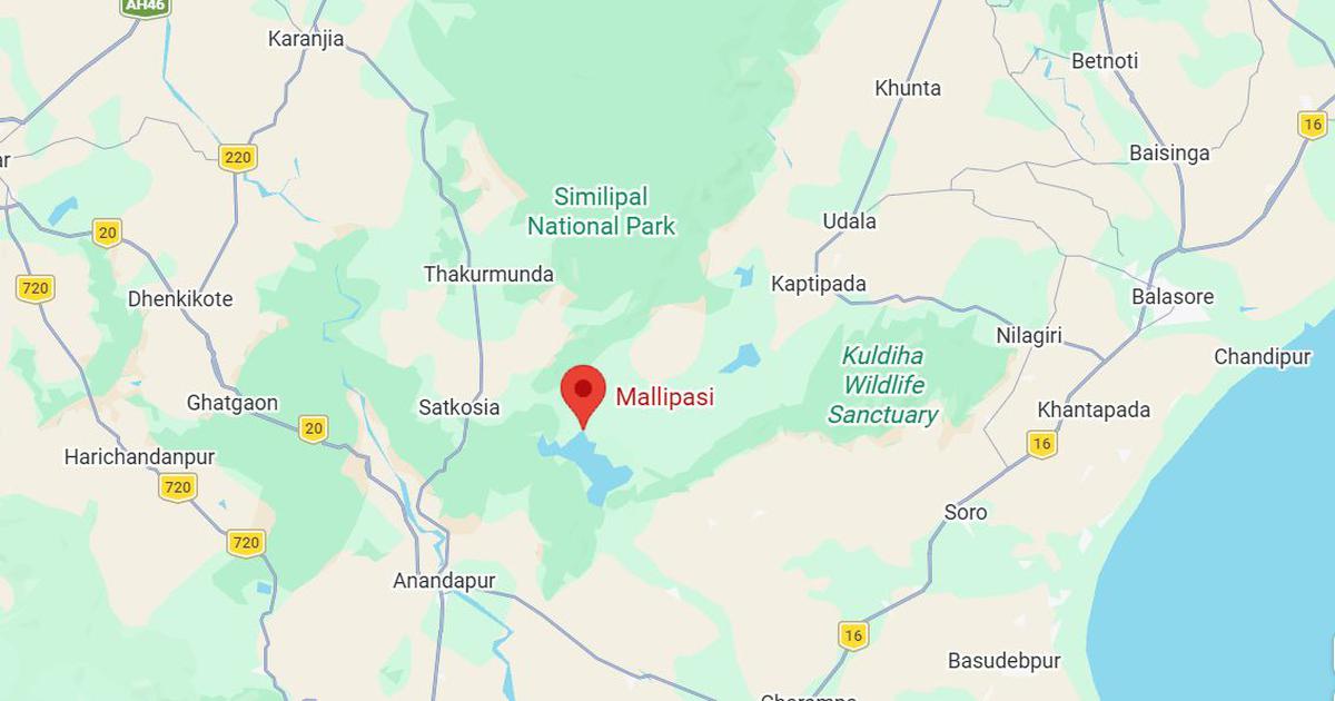 Odisha Man Exhumes Sister’s Remains to Withdraw Savings from Bank