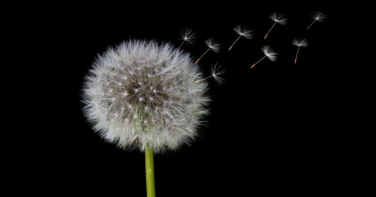 Recognizing Early Indicators of Alzheimer’s: The Challenges of Daily Life