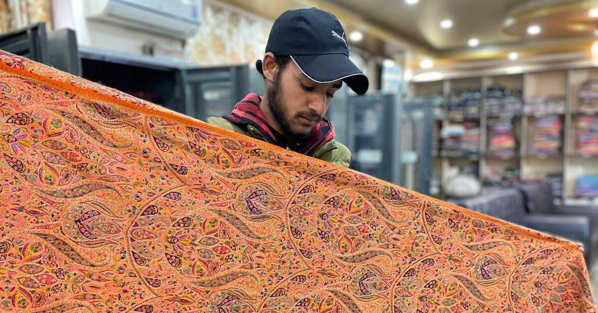 Revolutionizing Pashmina: Sustainable Practices Using Natural Dyes and Silkworm Nutrition