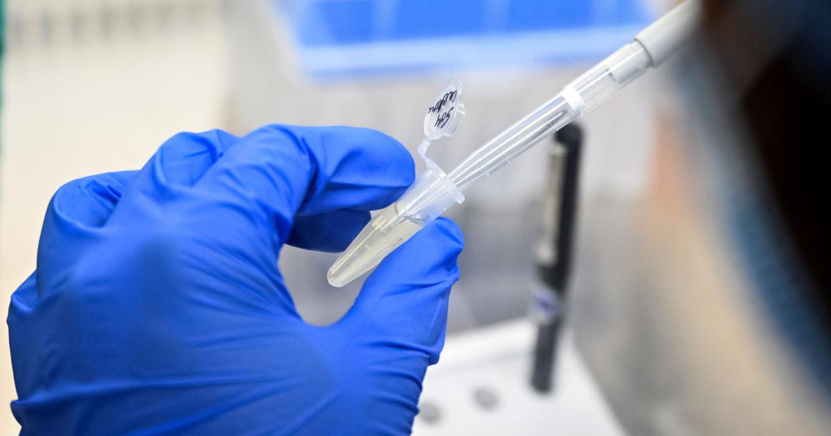 The Complex Battle Against Dengue: Why Vaccination Alone Isn’t Enough