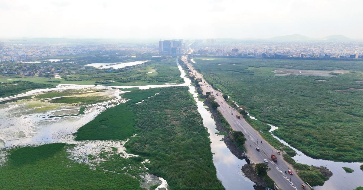 The Growing Crisis: How the Loss of Ecological Buffers is Intensifying Water Scarcity in India