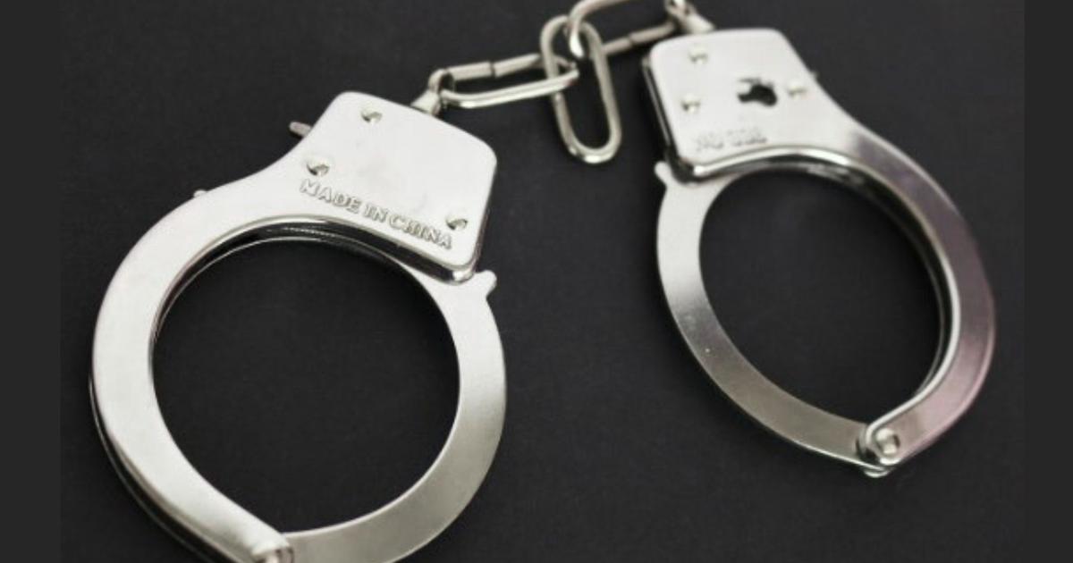 25 Foreign Nationals Detained for Allegedly Voting Illegally in Tamil Nadu and Puducherry Elections