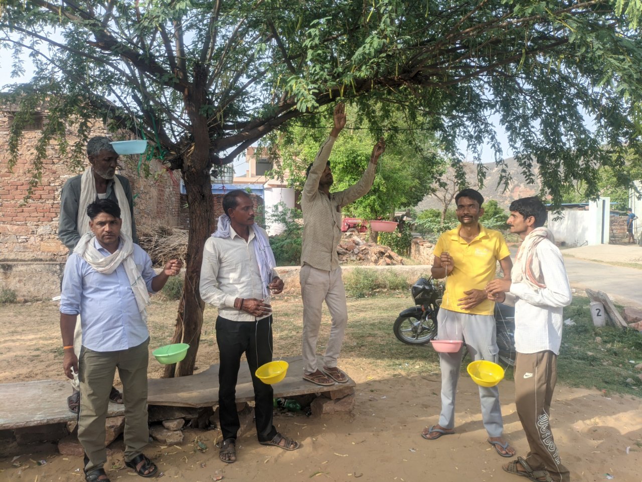राजस्थान की भीषण गर्मी में पशु-पक्षियों के लिए राहत अभियान, जयपुर क्षेत्र में लगाए गए 2500 से अधिक परिंदे